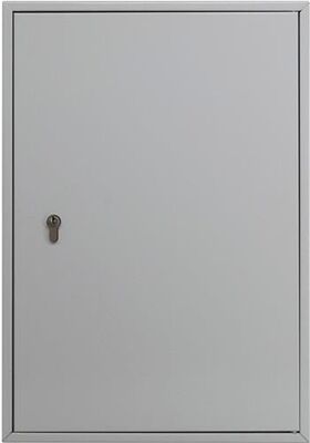 Schlüsselschrank 6850/50 PZ H550xB377xT80mm PZ Anz.Hak.50 BURG-WÄCHTER
