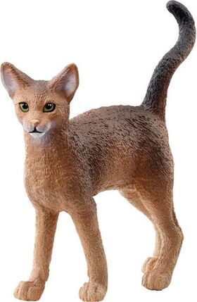Abessinierkatze