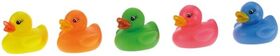 Racing Ducks 6 cm