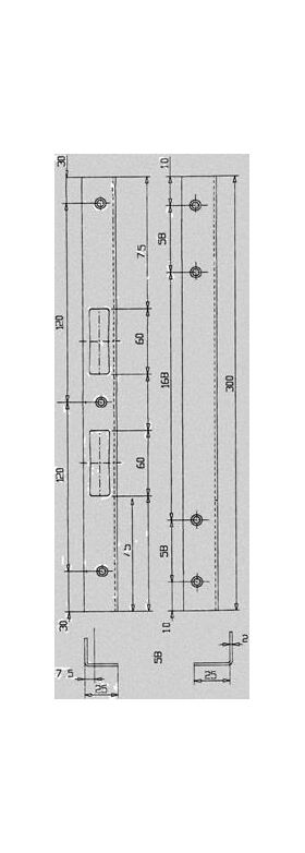 Sicherheitswinkelschließblech L.300mm B.25mm S.2mm VA ma geb.SCHNEGEL