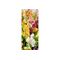 Banner Kirstal 75x180 bedruckt