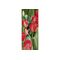 Banner Aileen 75x180cm