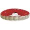 BRAUN + COMPANY  Teller ?26cm rund sortiert - 25 VPE