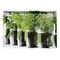KESPER Serviertablett 'Herbs'