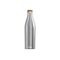 SIGG Thermo-Isolierflasche 'Meridian'
