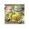ZENKER Gugelhupfform 'Green vision'