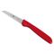 ZWILLING Küchenmesser 70mm rot