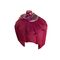 efbe-Schott Haartrockenhaube SC LT 52