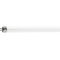 PHILIPS Leuchtrohr 470 lm 8 Watt/830 288mm