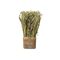 Trockenblumen Gras-Mix im Terracotta Topf