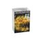 LED Lichterkette 'Cluster Draht' 100 LED