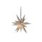 STAR TRADING Papierstern 'December'