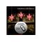 F-H-S Sterne LED 3er Set