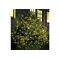 F-H-S Lichternetz 160 LED