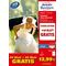 AVERY ZWECKFORM Fotopapier C2552-40P 10x15 80 80 Blatt