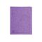 EXACOMPTA Schnellhefter Colorspan'