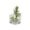 Sandra Rich Vase Würfel Glas 14x14x14cm klar