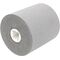 Satinierwalze FINISH grau fein Ø100xB100mm 19mm PROMAT