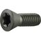 Spannschraube Gr.T20 f.TCMT 16/SCMT 12 z.Fasenfräser PROMAT