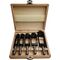 Scheibenschneidersatz 5-tlg.13mm Schaft FISCH-TOOLS