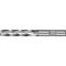 Schaftfräser DIN 844 TypN D.20mm Einsatz-L.89mm HSS-Co8 Weldon