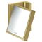 Rasierspiegel AXOR UNIVERSAL brushed brass