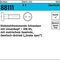 Schraube R 88111 diebstahlhemmend Liko/Zweiloch M5x 16 A 2 100 Stück - VPE: 100