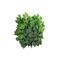 EUROPALMS Ficuszweig Benjamina, künstlich, 12x