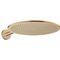 Kopfbrause AXOR SHOWERSOLUTIONS 350 1jet brushed bronze