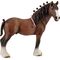 Clydesdale Wallach