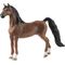 HC American Saddlebred Wallach