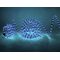 EUROLITE RUBBERLIGHT RL1-230V blau 9m