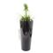 EUROPALMS LEICHTSIN ELEGANCE-110, schwarz, glänzend
