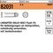 Hohlraumdübel R 82031 HBFF 10-2 ( 70/45) A 4 1 Stück