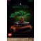 Creator Bonsai Baum