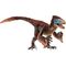 Utahraptor