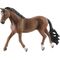 HC Trakehner Wallach