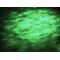 EUROLITE LED H2O Wassereffekt