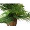 EUROPALMS Areca Palme, Kunstpflanze, 140cm