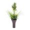 EUROPALMS Grasarrangement, künstlich, 90cm