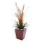 EUROPALMS LEICHTSIN BASIC-50, rot, glänzend
