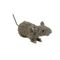 EUROPALMS Ratte, lebensecht mit Fell 30cm