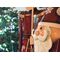 EUROPALMS Nikolaus, Metall, 195cm, rot