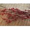 EUROPALMS Beerenzweig glitzer rot 85cm 3x