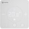 OV Raumthermostat ClimaCon F 310 Heizen/Kühlen Master kabelgebunden 24 V