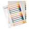 Leitz Register 12940000 DIN A4 1-12 volle Höhe PP farbig/transparent