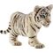 Tigerjunges, weiß