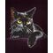 DIAMOND DOTZ Katze 27,9x35,5 cm