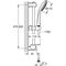 Grohe Brausestangenset EUPHORIA 110 Champagne chr