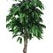 EUROPALMS Dschungelbaum Mango, Kunstpflanze, 180cm